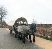 IMG_20230331_100535_137-879d4e453