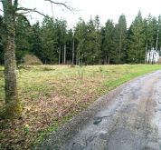 IMG_20230331_110640_677-85df47222